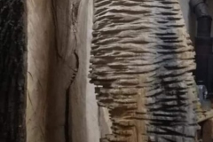 dav