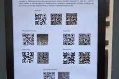 WhatsApp-Image-2025-06-03-at-09.02.47