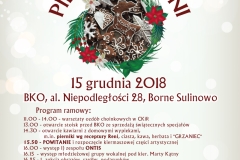 Kiemasz Reni