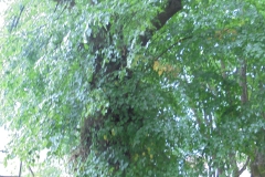 DSC02143