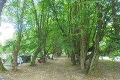 DSC02144