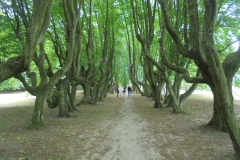DSC02150